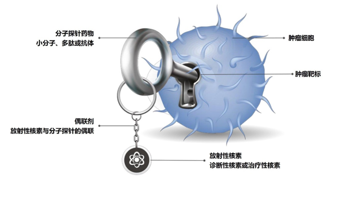 腾博官网诚信为本医药核药同伴Telix全球创新RDC产品TLX101海表I期钻研完玉成数患者入组